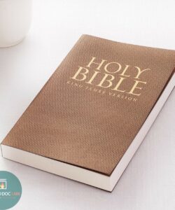 King James Version - Bìa Vàng Cổ - KJV065